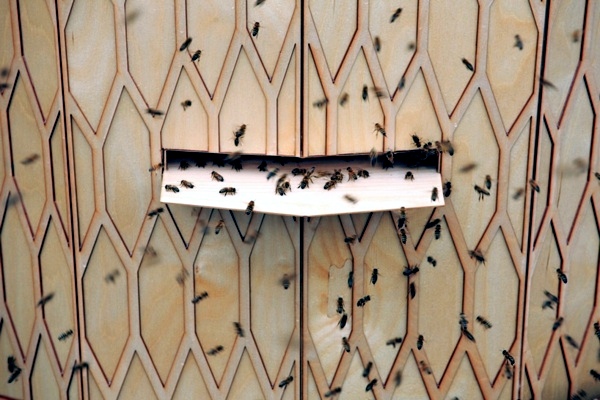 The volcano beehive, designed by Snohetta, dusted Oslo