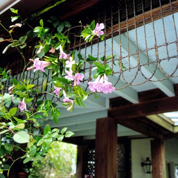 Landscaping: Easy and Fabulous Decoration ideas in the garden
