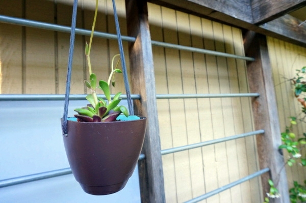 Modern DIY grid and garden accessories - easy craft ideas for gardeners Modern DIY grid and garden accessories - easy craft ideas for gardeners
