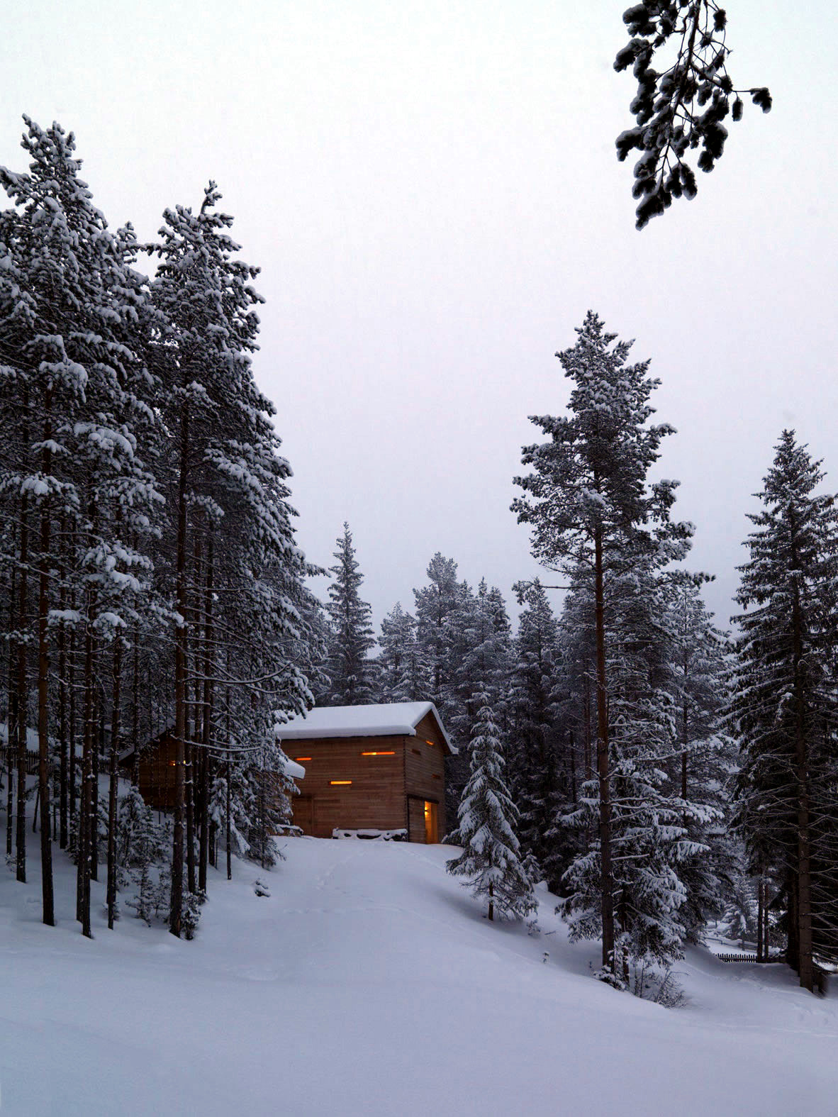 Interior design of a paneled entirely with wood cabin
