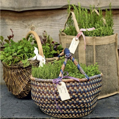 24 cool vintage flower pots in the garden