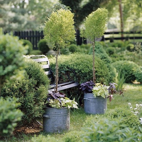 24 cool vintage flower pots in the garden