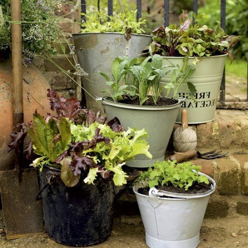 24 cool vintage flower pots in the garden