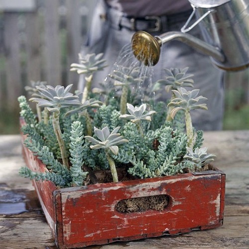 24 cool vintage flower pots in the garden