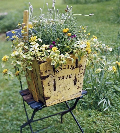 24 cool vintage flower pots in the garden