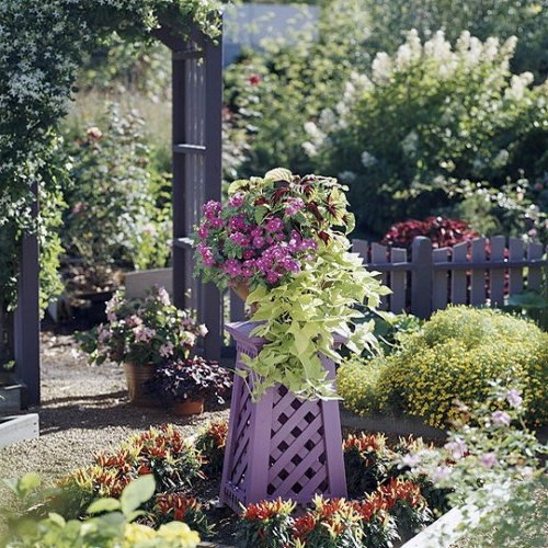 24 cool vintage flower pots in the garden Avso