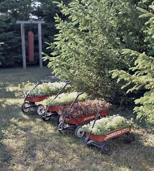 24 cool vintage flower pots in the garden