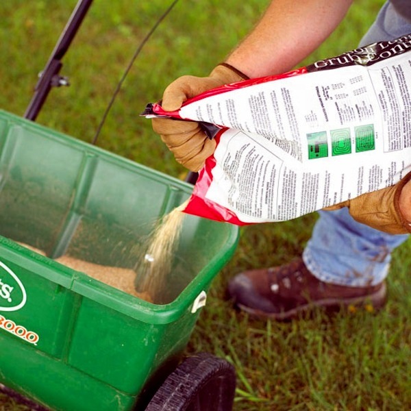 Answers to Your Top Garden questions - useful information for gardeners