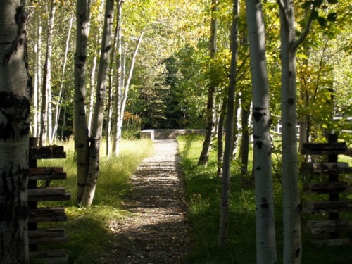 From the wilderness home: Elements eventful landscapes From the wilderness home: Elements eventful landscapes
