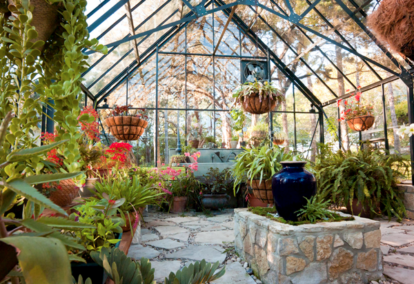 Great Greenhouses for spring