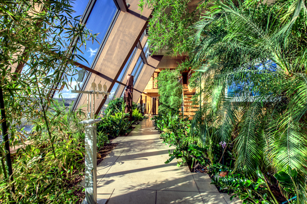 Great Greenhouses for spring