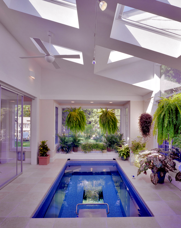 Great Greenhouses for spring