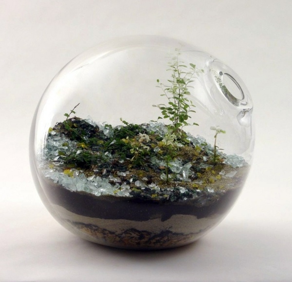 Make terrarium itself - applied art