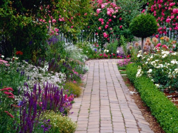 Weed killer - effective weed control with vinegar, boiling water Weed killer - effective weed control with vinegar, boiling water