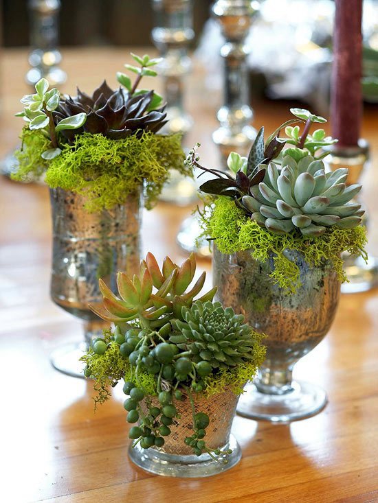Funny flower box ideas - from old unusable materials