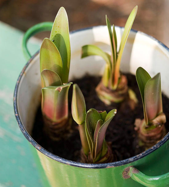 Funny flower box ideas - from old unusable materials