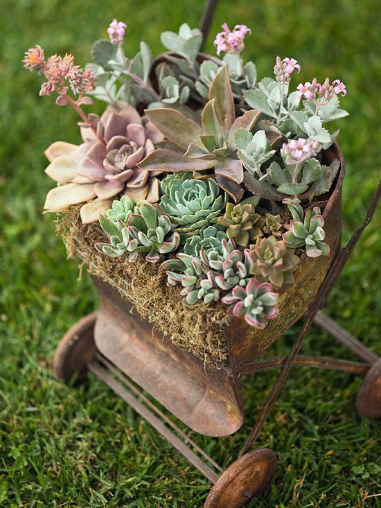 Funny flower box ideas - from old unusable materials