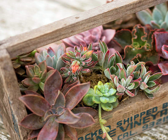 Funny flower box ideas - from old unusable materials