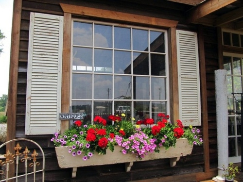 Flower boxes at the windows in different styles