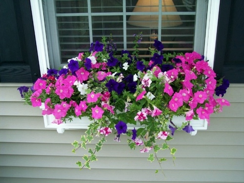 Flower boxes at the windows in different styles