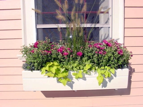 Flower boxes at the windows in different styles