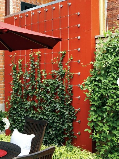 Garden Design - modern cool landscape gardening in the backyard