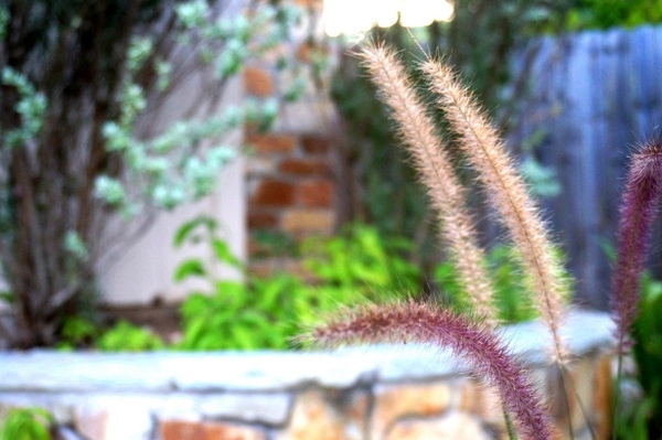 Efficient Gardening in Autumn - prepare your yard for the winter season Efficient Gardening in Autumn - prepare your yard for the winter season