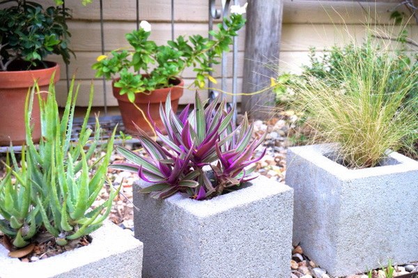 Efficient Gardening in Autumn - prepare your yard for the winter season Efficient Gardening in Autumn - prepare your yard for the winter season