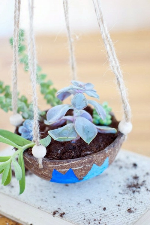 DIY hanging flower pot from coconut