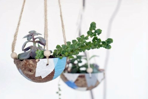 DIY hanging flower pot from coconut DIY hanging flower pot from coconut
