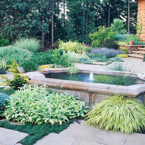 Compatible drought plants - beautiful garden ideas Compatible drought plants - beautiful garden ideas
