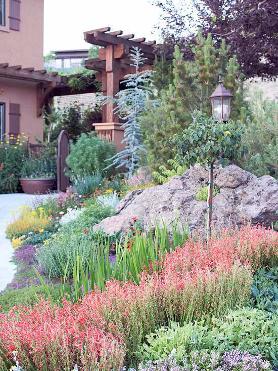 Compatible drought plants - beautiful garden ideas Compatible drought plants - beautiful garden ideas