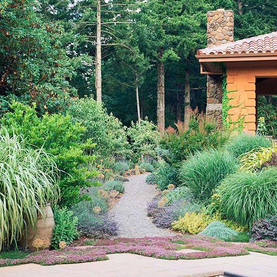 Compatible drought plants - beautiful garden ideas