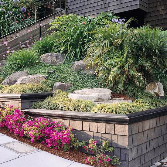 Compatible drought plants - beautiful garden ideas Compatible drought plants - beautiful garden ideas