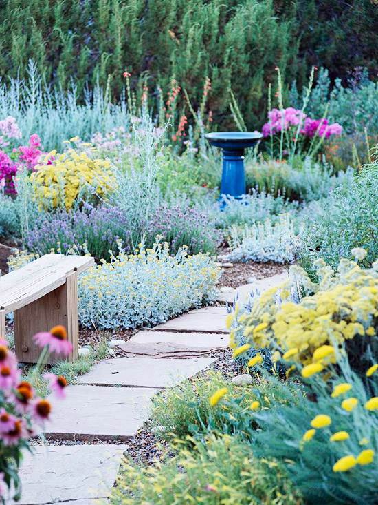 Compatible drought plants - beautiful garden ideas