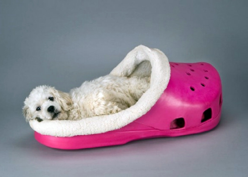 Hunderassen - Cool dog bed in shape of a shoe