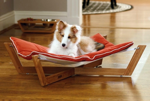 Cool dog bed in shape of a shoe Cool dog bed in shape of a shoe