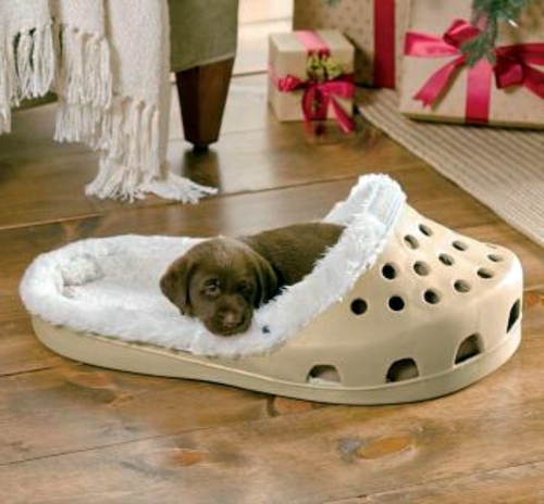 Cool dog bed in shape of a shoe Cool dog bed in shape of a shoe