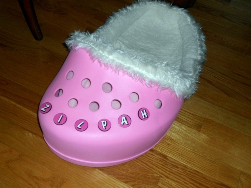 Cool dog bed in shape of a shoe Cool dog bed in shape of a shoe