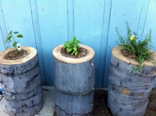 13 original ideas for decoration from tree stump
