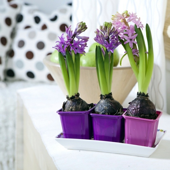 Landscaping Tips - How you can maintain your bulbs yet