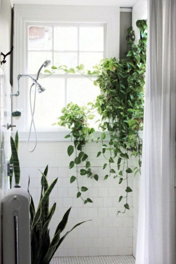 Bathroom design with flowers and plants - original ideas spring Bathroom design with flowers and plants - original ideas spring