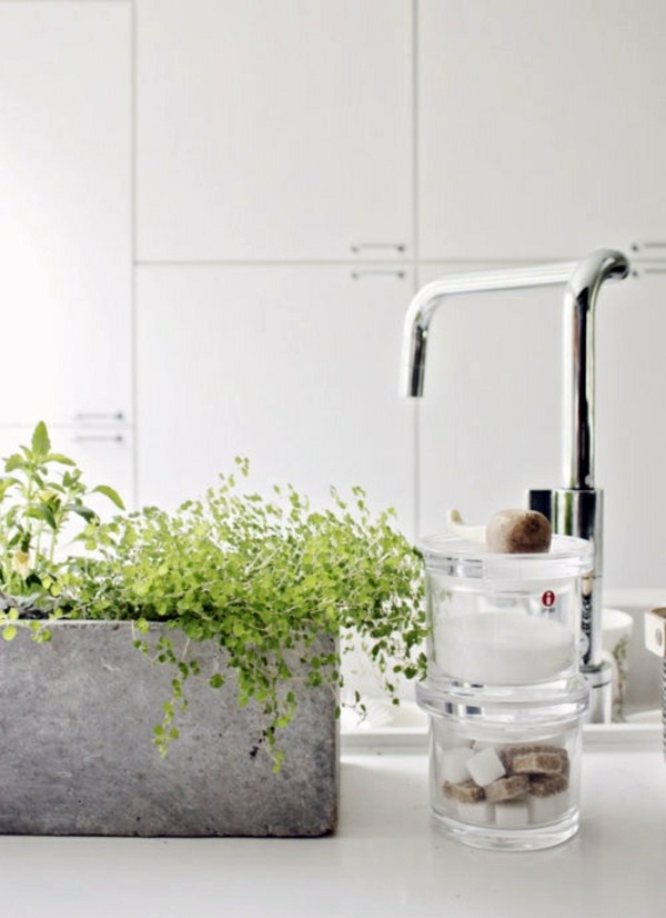 Bathroom design with flowers and plants - original ideas spring Bathroom design with flowers and plants - original ideas spring