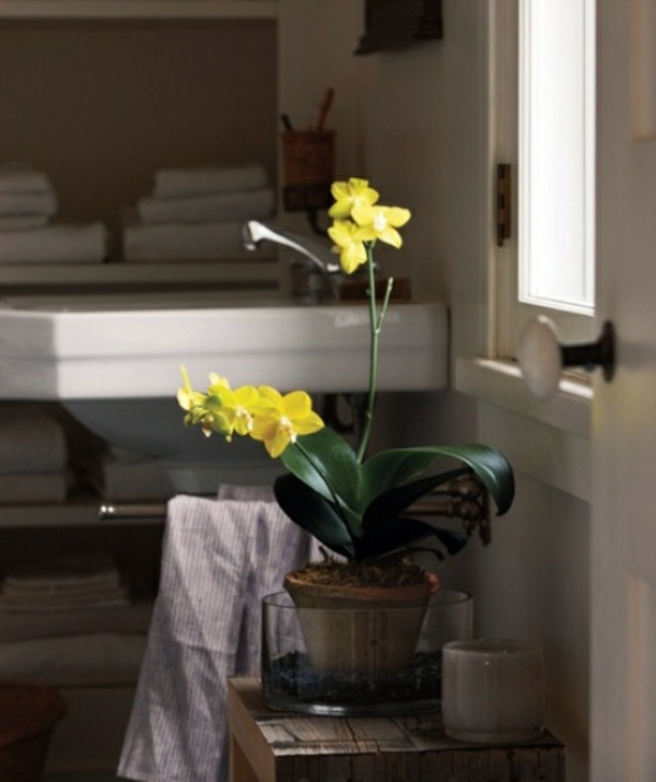 Bathroom design with flowers and plants - original ideas spring