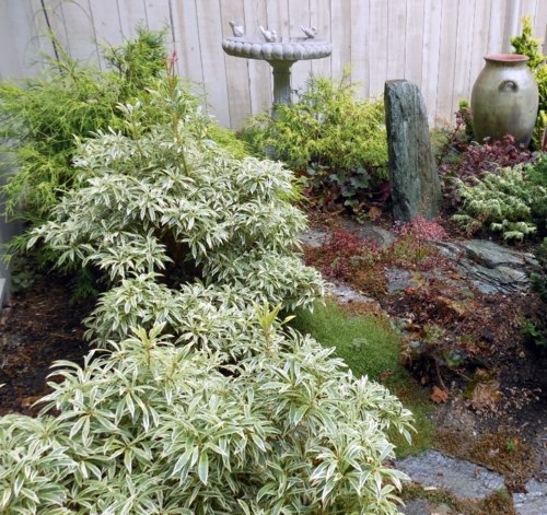 Gartengestaltung - Landscaping for fire resistance - useful and practical tips