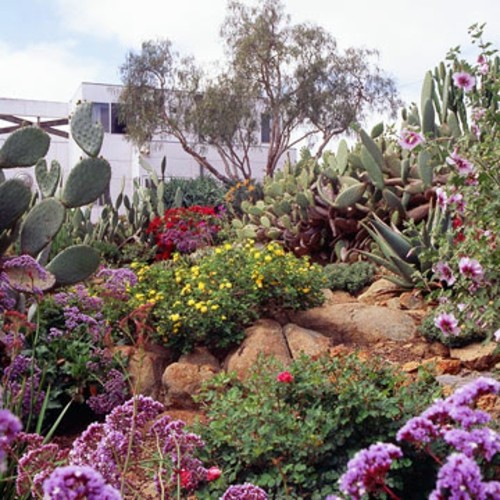 Landscaping for fire resistance - useful and practical tips Landscaping for fire resistance - useful and practical tips