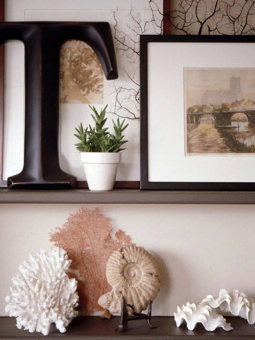 Beautify your home - seashells decoration