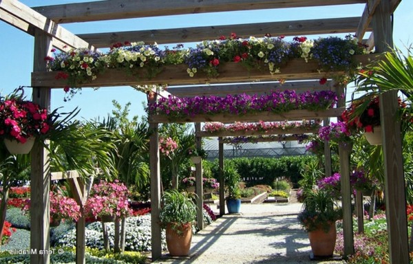 Build pergola or how to build a gazebo itself