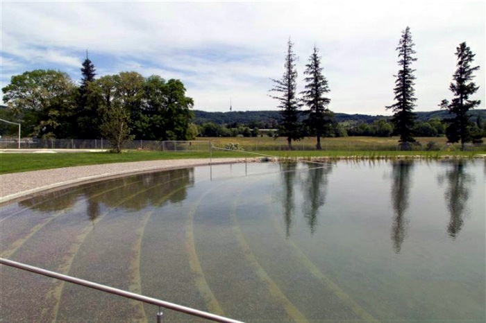 Garden pool without chlorine - natural Riehen