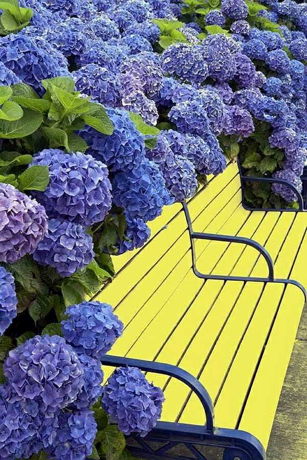 40 garden design ideas for your imagination